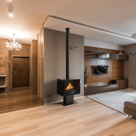 poele bois 800 P dans salon